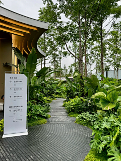 小飞废采集到东南亚植物新