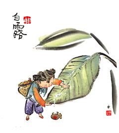 拾伍丨  白露



天气渐转凉，昼夜温差开始增大，

清晨时可见叶子上有许多露珠。
