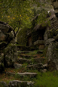 Rooger采集到园林，风景