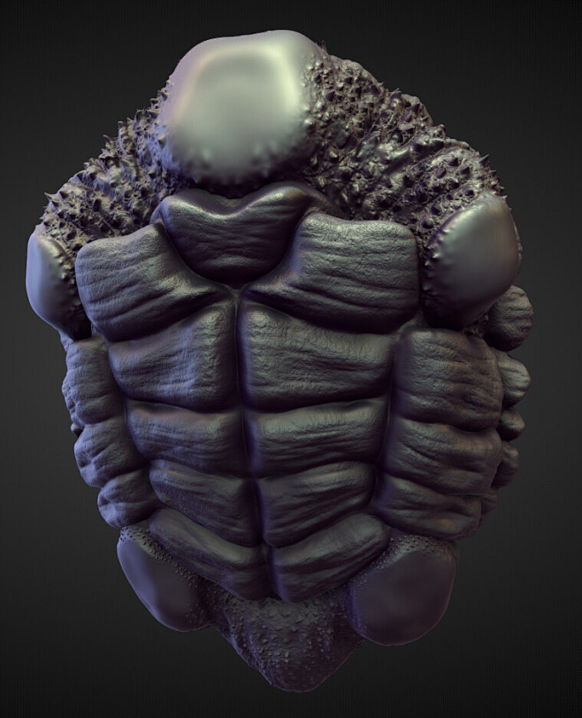 Torso11, Timofey Vol...