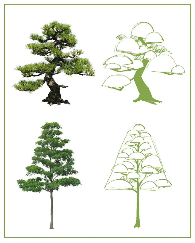 新手向—树的画法教程！3 大要点教你 画树、树叶以及树桩-花瓣网