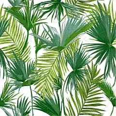 鸡尾酒,花纹,棕榈叶,热带雨林,纺织品,图像,壁纸,植物群,枝,装饰