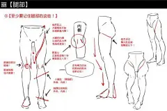 今天分享一篇动漫人物五官加全身的几个要点，多看多动手！