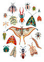 This contains an image of: "Bugs of the World" by Amber Davenport