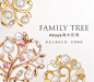 familytree_01.jpg@北坤人素材