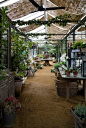 Petersham Nurseries, Richmond Surrey UK: 