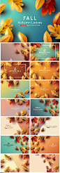 15款唯美秋天秋季落叶枫叶展板背景AI格式2022324 - 设计素材 - 比图素材网