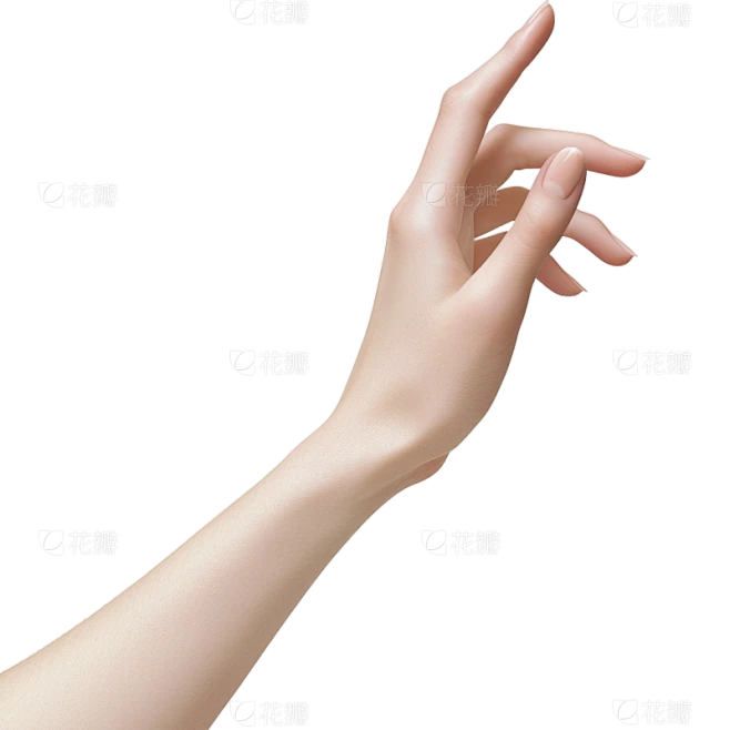 人体部位写实手轻微握拳向前指/点击素材-花瓣网