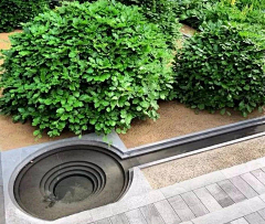 猪猪猪zsl采集到日式庭院