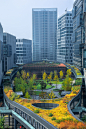 Maple tree Business City by DLC « Landscape Architecture Platform | Landezine