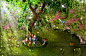 EP Premade background 1 by Elsapret