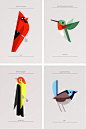 Beautiful Birds by Josh Brill via beautifulbits: Here is a link for a free iPhone wallpaper download!  http://shop.lumadessa.com/pages/iphone   #Illustration #Birds #Josh_Brill #iPhone