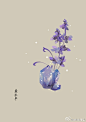 #365天生日花# 7月5日 薰衣草 (Lavender) 
花语 ：芬芳