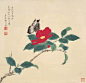 #中国书画# 谢月眉（1906—1998），名卷若。民国著名词人、书画家谢玉岑的三妹，著名画家和鉴定家谢稚柳先生的三姐，终身未嫁。长期随三弟谢稚柳、陈佩秋夫妇寓居上海。民国时期中国女子书画会发起人之一。早年从明末清初陈洪绶、恽寿平的工笔和没骨花鸟入手，后上溯师宗宋人工笔画法，所作工笔和没骨 ​​​​...展开全文c