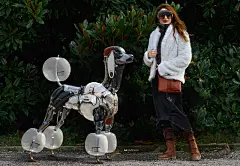 My wife's cyber-poodle