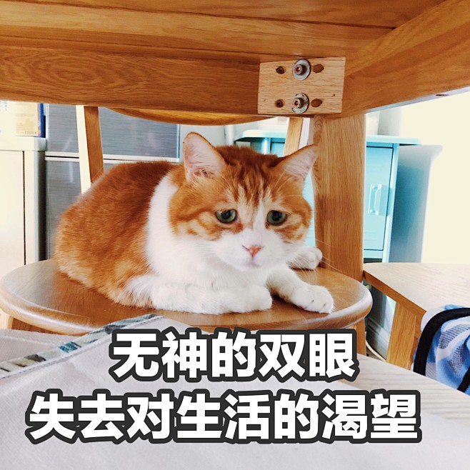 无神的双眼失去对生活的渴望