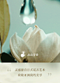 高定私藏 | 入万物之境 品灵韵新香 : 解密阿玛尼高定私藏香氛