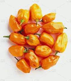 椒类食物,迷你型蔬菜,南方食品,加拿大文明,蔬菜,中东食物,地中海美食,垂直画幅,饮食,食品