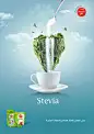 ads on Behance