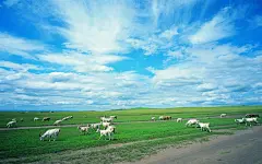 夏日广阔草原风光桌面壁纸4