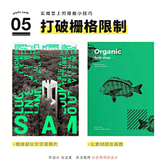 晓青岁采集到万能排版素材