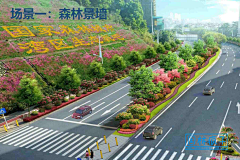 一只红鲸鱼-采集到道路景观/沥青路