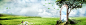 轮播图背景,全屏背景,banner,树木,花朵,蝴蝶,门,海报banner,浪漫,梦幻图库,png图片,网,图片素材,背景素材,3737748@北坤人素材