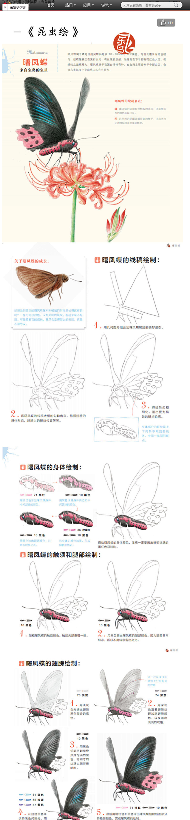 飞乐鸟的照片 - 微相册