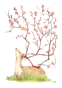 小啊健呐采集到花、树、草