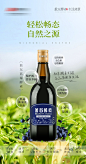 酵素蓝莓产品海报-志设网-zs9.com