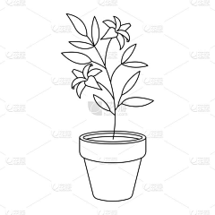 花瓣素材-动植物素材采集到植物-素材