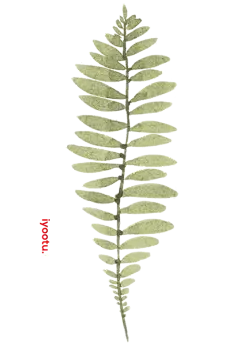 春季春天手绘鲜花花卉花框合成元素_PNG：