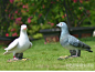 花园庭院客厅装饰鸽子雕塑仿真动物摆件创意家居饰品和平鸽吉祥鸽-淘宝网