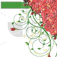 请柬,贺卡,历日,生日,可爱的,创造力,自然,高雅,摆拍,花