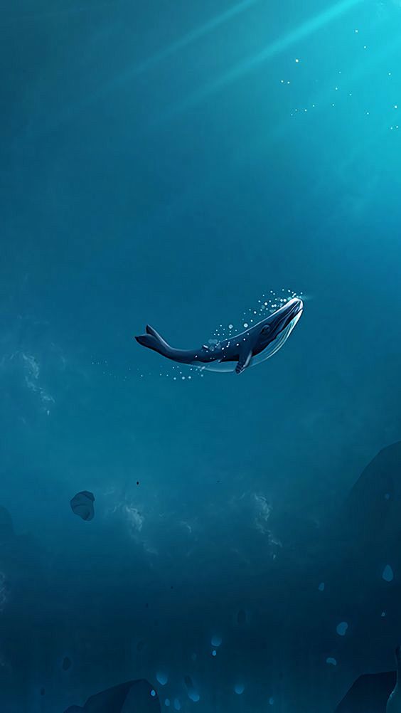 海