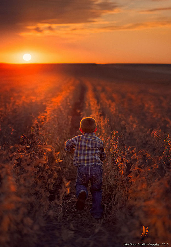 Farm Boy by Jake Ols...