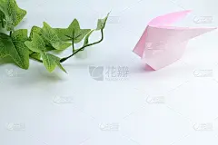 可爱的小兔子靠近树叶