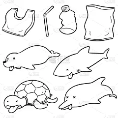 塑胶,水栖哺乳动物,环境,野生动物,海豚,哺乳纲,垃圾,海龟,动物