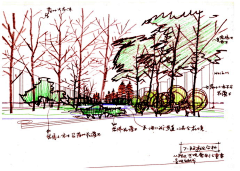 古灵精怪的椰子采集到Landscape.【手绘设计】