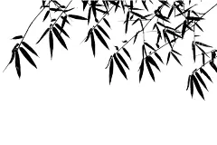 zhuyejianying_8176498