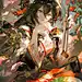 每日画师推荐｜插画分享｜审美积累 - 小红书