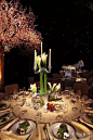 2015年艾美奖after-party