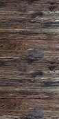 玫瑰金色调桦木木材纹理背景  (10)