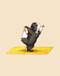 五月不减肥，六月徒伤悲。在这徒伤悲的月份里！！有一只小仓鼠锲而不舍地进行运动，例如是瑜伽。Lesley DeSantis画了一组很有爱的插画，里面的小仓鼠君都是小胖墩，正努力地瑜伽中！