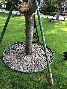 树池-花瓣网|陪你做生活的设计师 | 树皮树穴树池装饰覆盖物隔根带