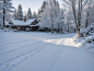 snow (31)
