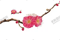 梅花桃花PNG  【酷图网】梅花桃花PNG,水墨梅花,中国风梅花,清新梅花,腊梅,手绘梅花,桃花,樱花,花卉,梅兰竹菊,花草,海报背景,工艺插画,传统文化,广告设计,PNG免扣素材,