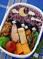 2009年8月のお弁当