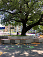 深圳蛇口学校广场景观设计 | 自组空间设计_景观中国