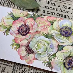 水彩--银莲花 - 高清图片，堆糖，美图壁纸兴趣社区